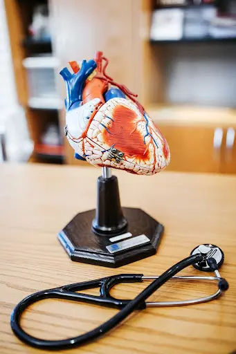 Praxis an der Reitbahn 1, Innere Medizin, Kardiologie, Gastroenterologie