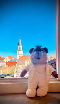 Dipl.Med. Jens Franke Facharzt für Allgemeinmedizin