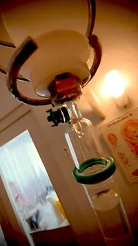Ärztin Heike Fischer, Expertin Biologische Medizin (Uni Mailand)