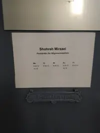 Shohreh Mirzaei