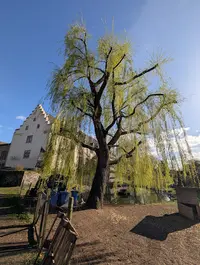 Hausarztpraxis Bingenheim