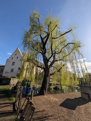 Hausarztpraxis Bingenheim