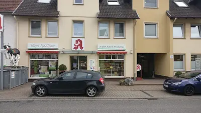 Frau Dr. Susanne Nserat