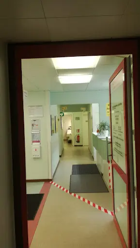 Dr. Niebuhr Hr. Elster
