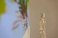 Internistische Hausarztpraxis Osterstrasse - Dr. Nadine Kaufmann