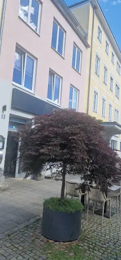 Hausarztpraxis am Münster