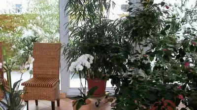 Hausärzte: Otmar Zoller, Andreas Klausen