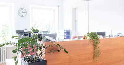 Frau Dr. med. Ulrike Ott