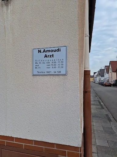 Najeh Amoudi