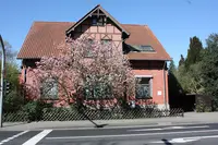 Gemeinschaftspraxis Dr. Katharina u. Dr. Otto Balck