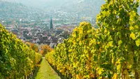 Allgemeinarzt Rainer Bütow Hausarzt - Naturheilkunde