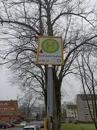 Frau Viktoria Busch-Tissen