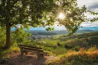 Hausärzte im Kaiserstuhl
