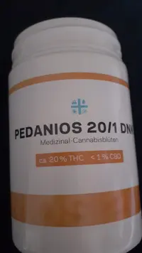 Dr. Luiza Leica