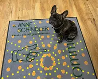 Praxis Dr. Anne Schindler